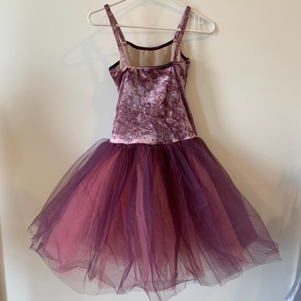 🏰 Pink and Purple Ballet Pointe Dance Costume Adult Medium or 🎀 Princess Dress - Picture 4 of 9